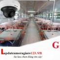 LẮP ĐẶT CAMERA GIÁM SÁT CHO TRANG TRẠI CHĂN NUÔI TẠI HÀ NỘI, HƯNG YÊN.