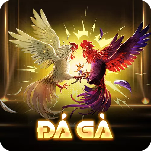 Banner www.lapdatcameragiare123.vn