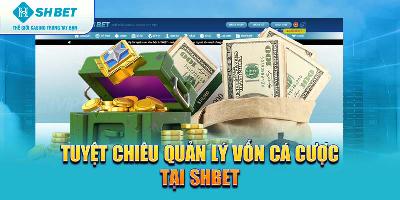 Banner www.lapdatcameragiare123.vn